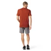 Pánske tričko Smartwool  Merino Sport 150 Tech Tee Picante