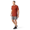 Pánske tričko Smartwool  Merino Sport 150 Tech Tee Picante