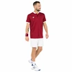 Pánske tričko Tecnifibre  Club Polo Cardinal