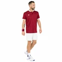 Pánske tričko Tecnifibre  Club Polo Cardinal