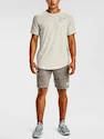 Pánske tričko Under Armour