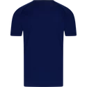 Pánske tričko Victor T-Shirt T-33100 Blue