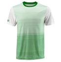 Pánske tričko Wilson Team Striped Crew Green/White
