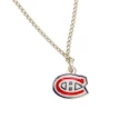 Prívesok na retiazke Montreal Canadiens