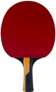 Raketa na stolný tenis Butterfly  Boll Carbon