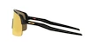 Športové okuliare Oakley Sutro Lite Matte Carbon/Prizm 24k