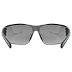 Športové okuliare Uvex  Equate Black Matt / Smoke (S5330822216)