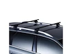Strešný nosič Thule s oceľovou tyčou BMW X5 5-dr SUV so strešnými lyžinami (hagusy) 00-03