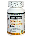 Survival