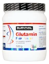Survival  Glutamin Fair Power 500 g