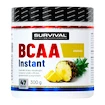 Survival  Instant Amino Fair Power 300 g