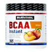 Survival  Instant Amino Fair Power 300 g