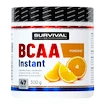 Survival  Instant Amino Fair Power 300 g