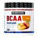 Survival  Instant Amino Fair Power 300 g