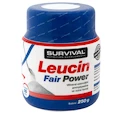Survival Leucin Fair Power 250 g