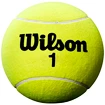 Tenisová loptička Wilson Roland Garros 5" Mini Jumbo Yellow