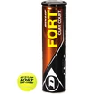 Tenisové loptičky Dunlop  Fort Clay Court