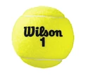 Tenisové loptičky Wilson Australian Open Can (4ks)