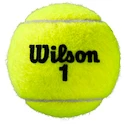 Tenisové loptičky Wilson  Roland Garros All Court (4 ks)