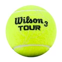 Tenisové loptičky Wilson Tour Davis Cup (4ks)