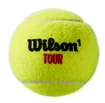 Tenisové loptičky Wilson Tour Premier Clay Court (4ks)