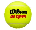 Tenisové loptičky Wilson US Open (4ks)