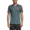 Tréningový dres adidas FC Bayern Mníchov sivý