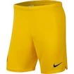Trenky Nike