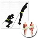 TRX Schildkröt  Speed Trainer Pro