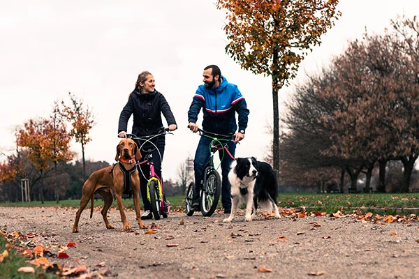 Yedoo kolobežky pre psíčkarov a mushing