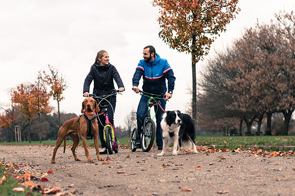 Yedoo kolobežky pre psíčkarov a mushing