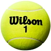 Veľká tenisová loptička Wilson  Roland Garros 9" Jumbo Yellow