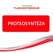 VemoHerb  Turkesterone 60 kapslí