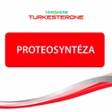 VemoHerb  Turkesterone 60 kapslí
