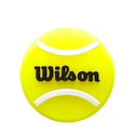 Vibrastop Wilson  Dampeners Box Roland Garros