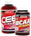 Xxlabs